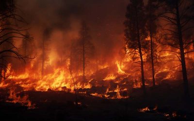 Negacionismo y desidia: El Gobierno de Moralzarzal tramita el plan contra incendios… ¡en plena ola de calor!